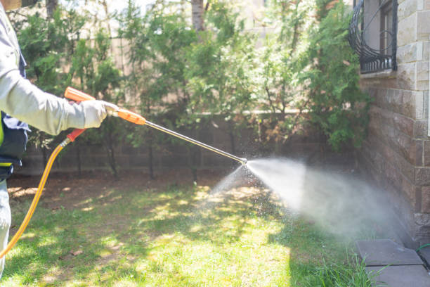 Best Mosquito Control  in Boston Heights, OH